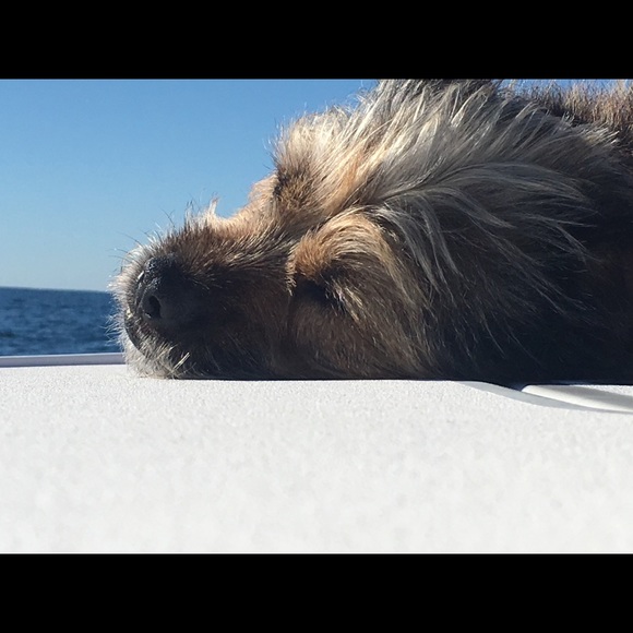 Meet your Posher, Joanne - Picture 4 of 8